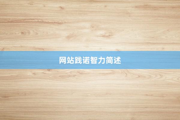 网站践诺智力简述