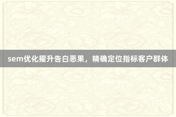 sem优化擢升告白恶果，精确定位指标客户群体