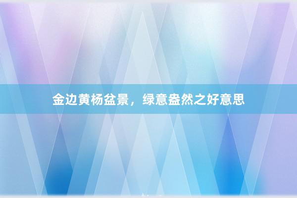 金边黄杨盆景，绿意盎然之好意思